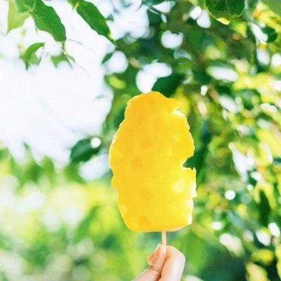 ayx在线登录入口app下载