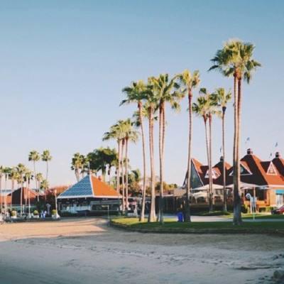 bet体育365官网正规app下载