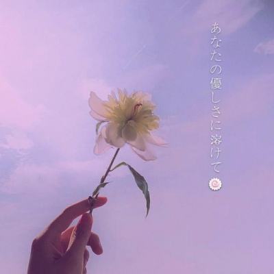 单机的打鱼游戏