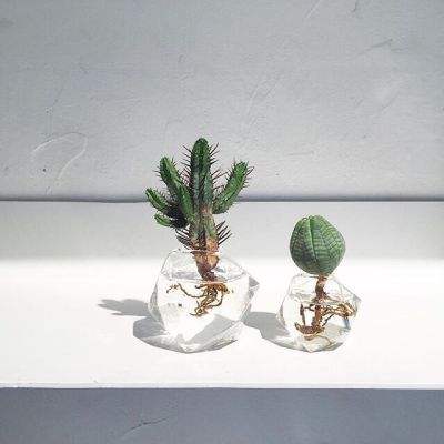 kok中欧登录入口